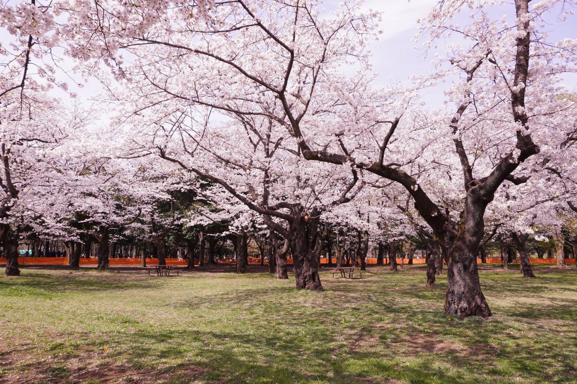 Mimaru Tokyo Shinjuku West Otel Dış mekan fotoğraf